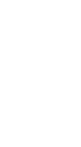 zonenest GAME